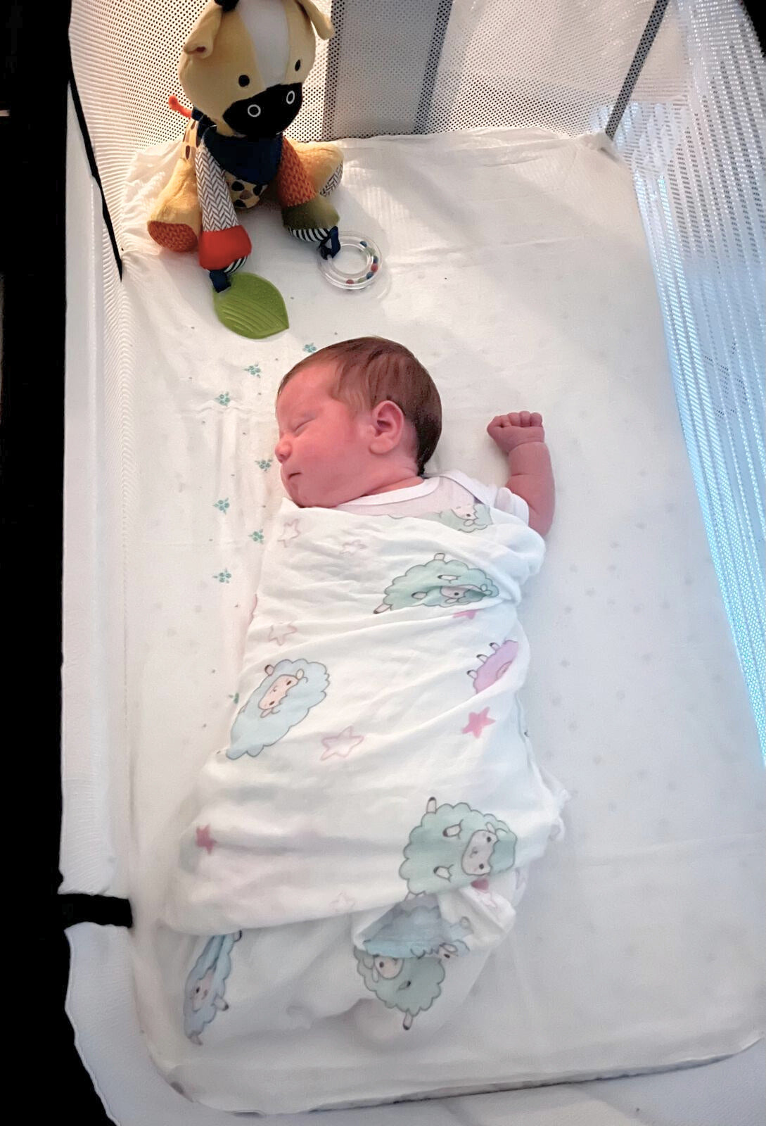 Baby swaddle Blanket-Sheep (white)