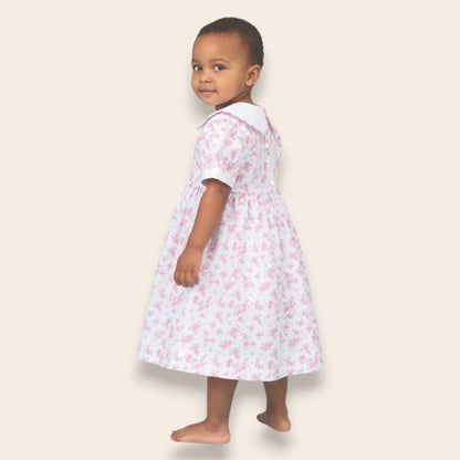 Albani Pink Floral Dress