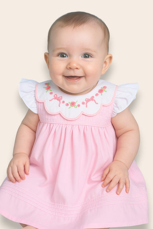 Isabella Pink Embroidery Dress