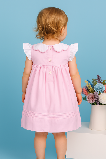 Isabella Pink Embroidery Dress