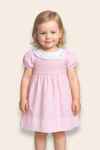 Norve Pink Embroidery Dress