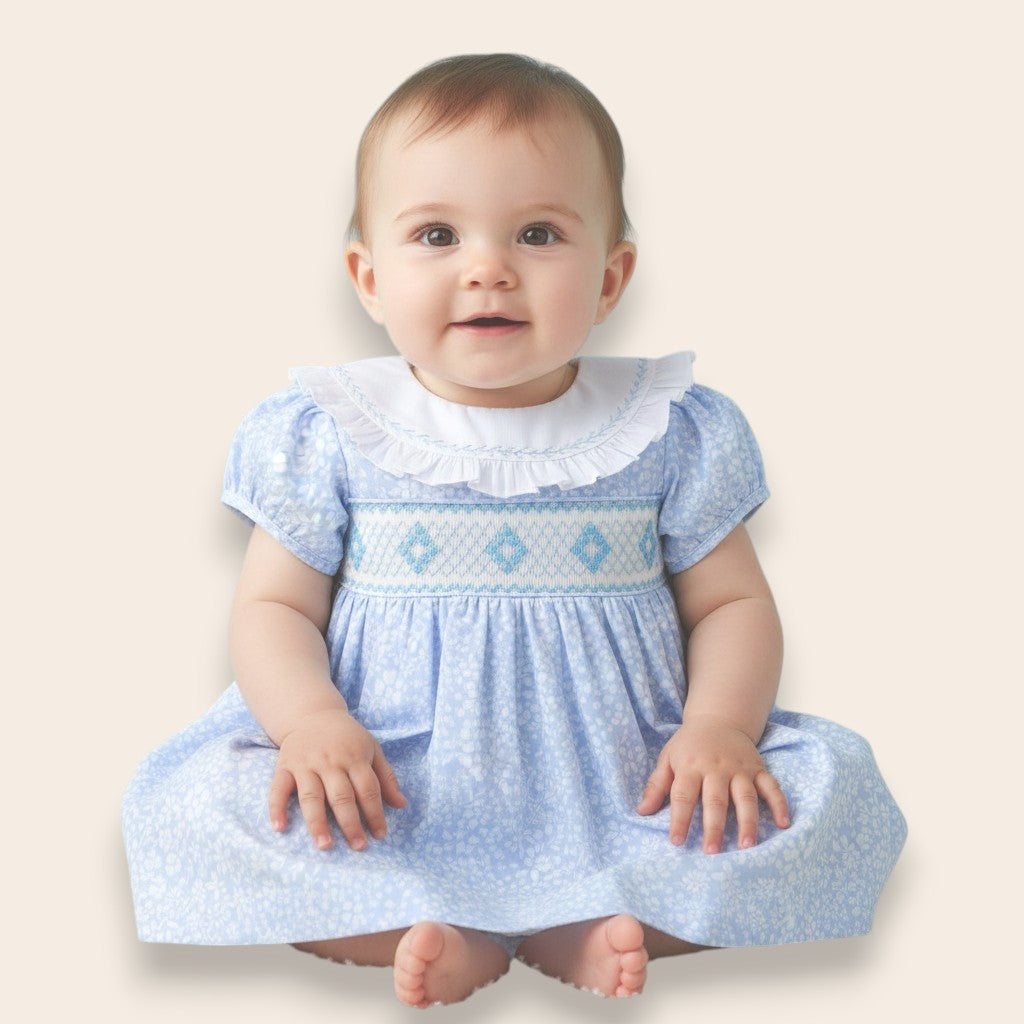 Valeria Floral Embroidery Dress