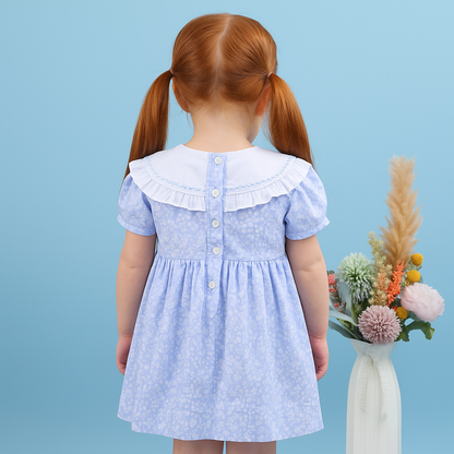 Valeria Floral Embroidery Dress