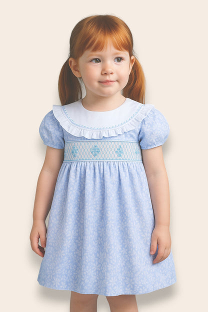 Valeria Floral Embroidery Dress