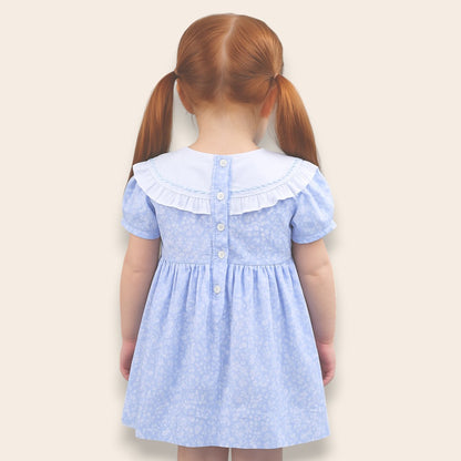 Valeria Floral Embroidery Dress