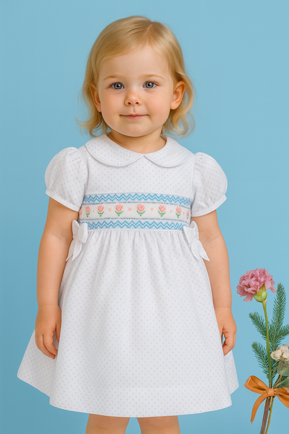 Veronica Elegant Embroidery Dress