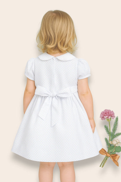 Veronica Elegant Embroidery Dress