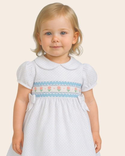 Veronica Elegant Embroidery Dress